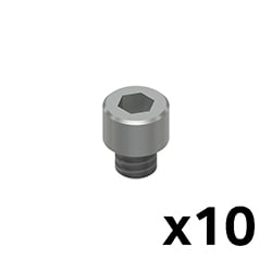 A single stainless steel bolt with the text "x10" in the bottom right corner